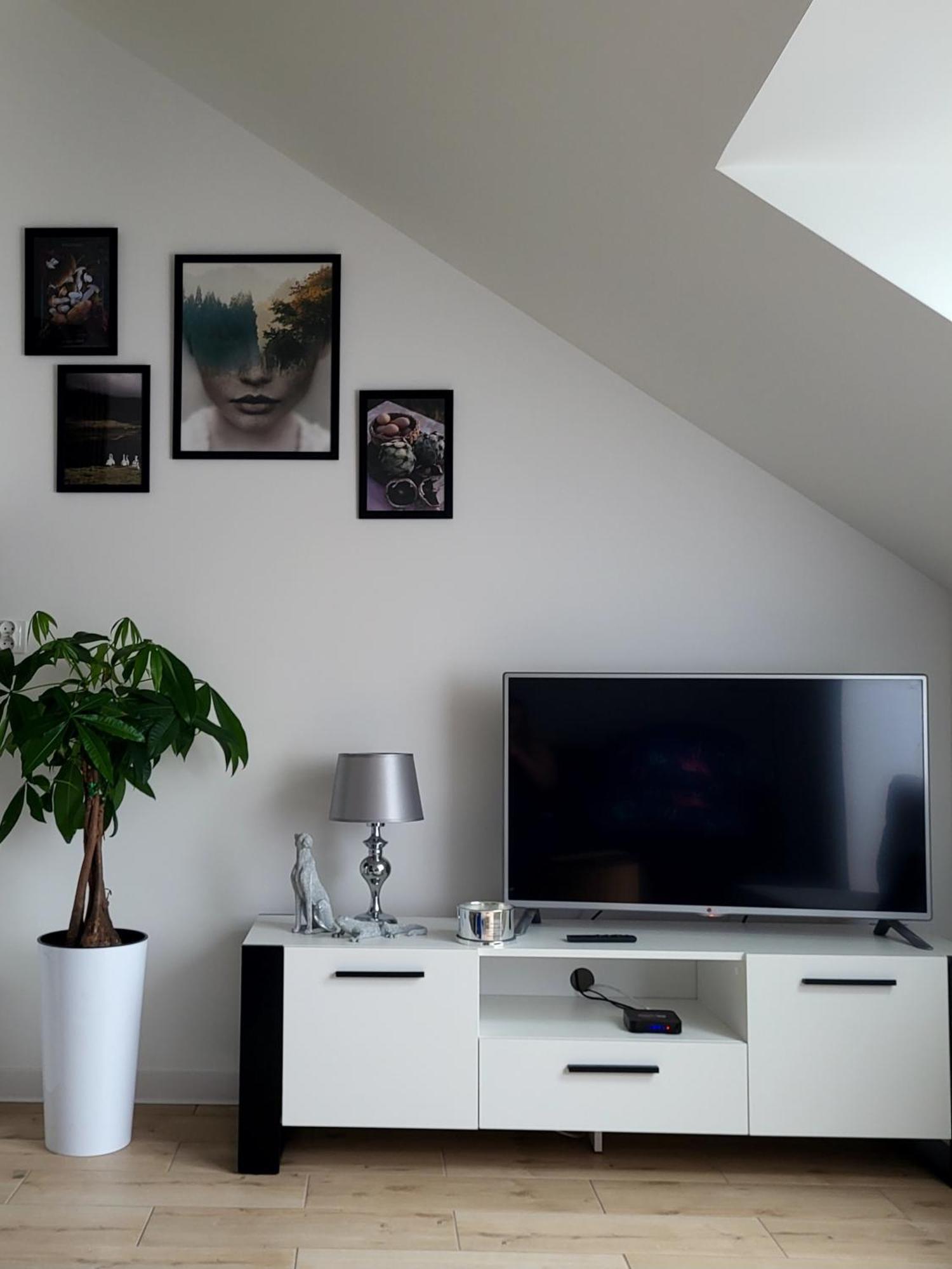 Apartament Dolina Baryczy ميليتش المظهر الخارجي الصورة