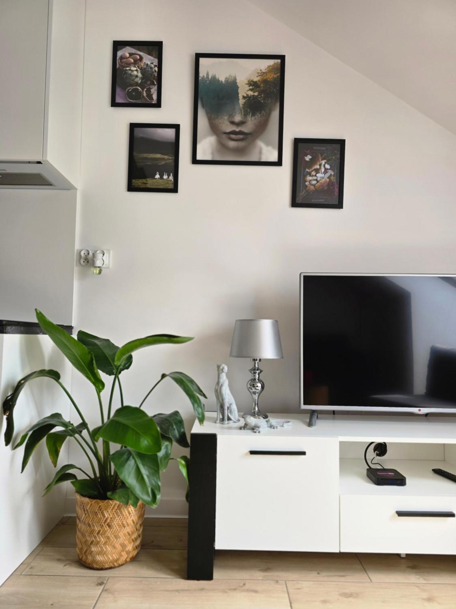 Apartament Dolina Baryczy ميليتش المظهر الخارجي الصورة